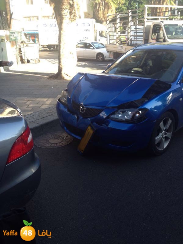 3oletsion 1219 (3).jpg